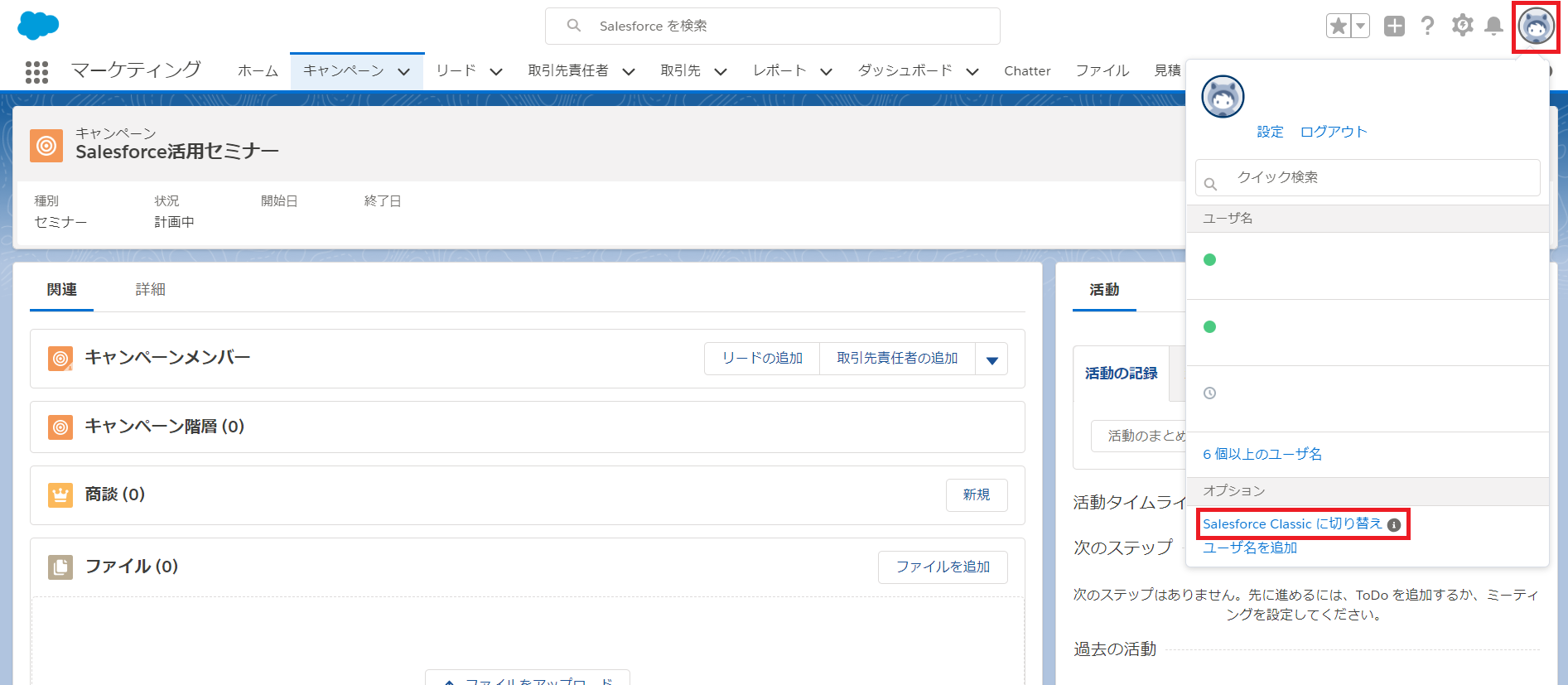 Salesforce　キャンペーン　切り替え